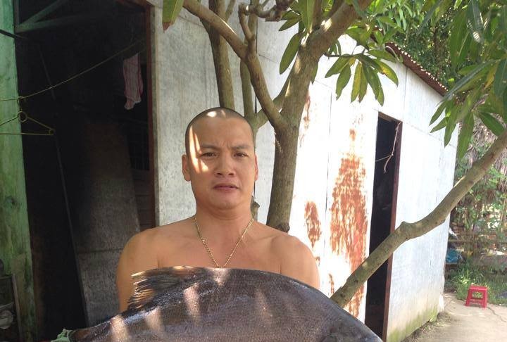 cách làm mồi câu cá chim (2)
