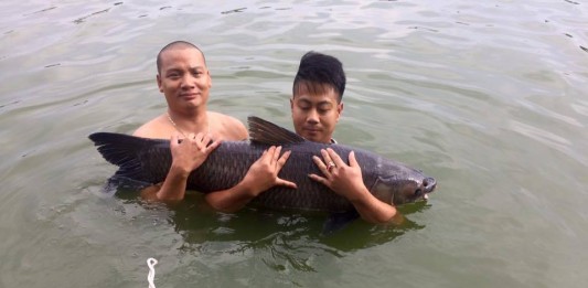 cách làm mồi câu cá trắm đen (2)