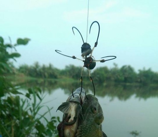 cách làm mồi câu cá rô đồng (1)