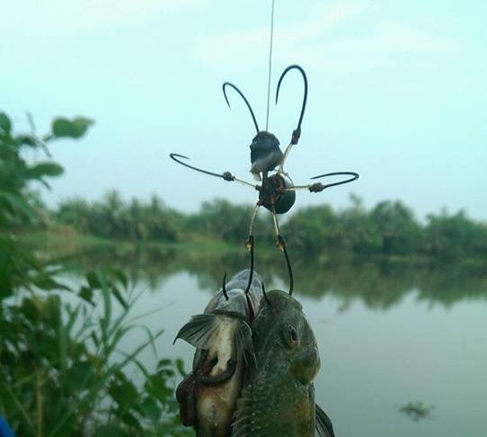 cách làm mồi câu cá rô đồng (1)