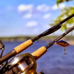 cần câu cá shimano