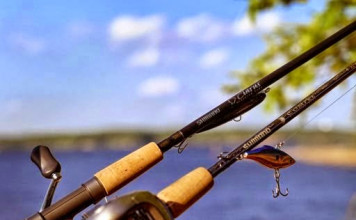 cần câu cá shimano