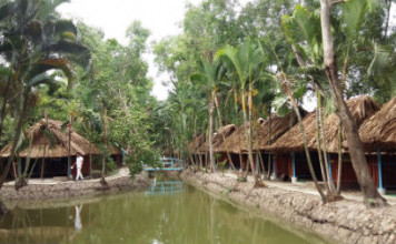 Thủy Mộc Quán – thiên đường câu cá đến là mê