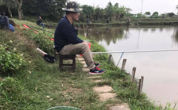 Lịch thả cá tháng 1/2017 các hồ câu giải trí tại hà nội lịch thả cá hồ câu tháng 1/2017