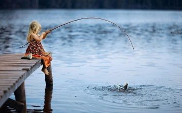 Kinh nghiệm câu cá cơ bản: Những bí quyết trở thành tay sát cá