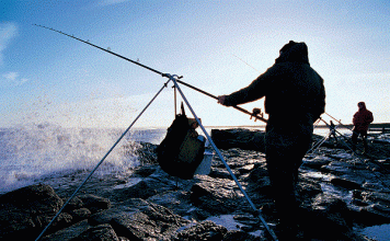 Những kỹ thuật câu cá biển căn bản anh em cần nắm rõ